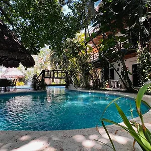 3* Hotel Mayan Art A Unos Pasos De La 5a Avenida